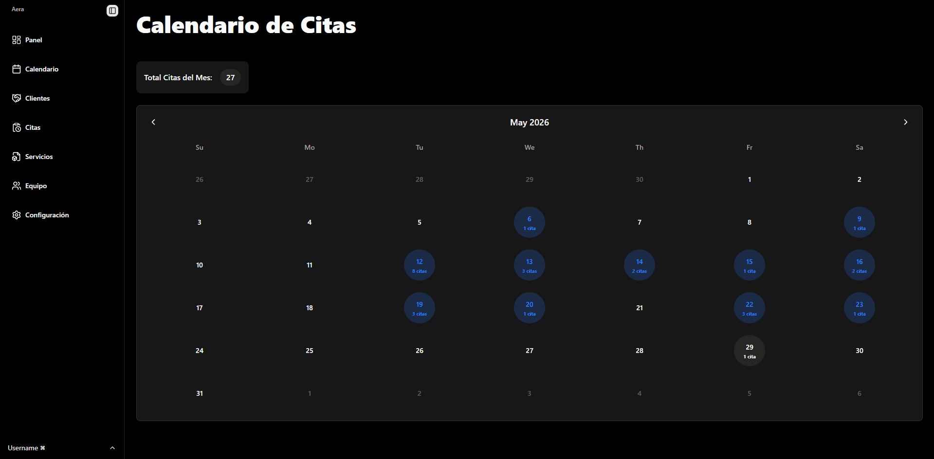 Calendario mensual de Aera con días destacados y total de citas.
